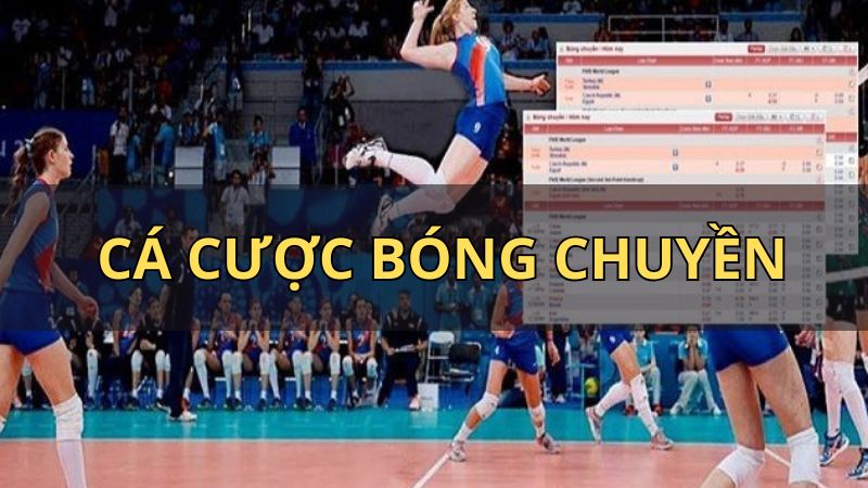 Giới thiệu chung về hình thức cá cược bóng chuyền
