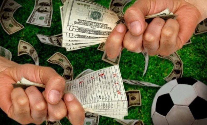 Các lưu ý quan trọng khi tham gia chơi cá cược thể thao