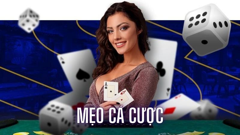 Giới thiệu chung về mẹo cá cược