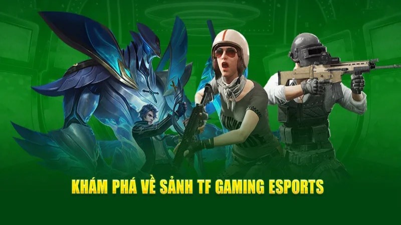 Một số thông tin cơ bản về TF Esports