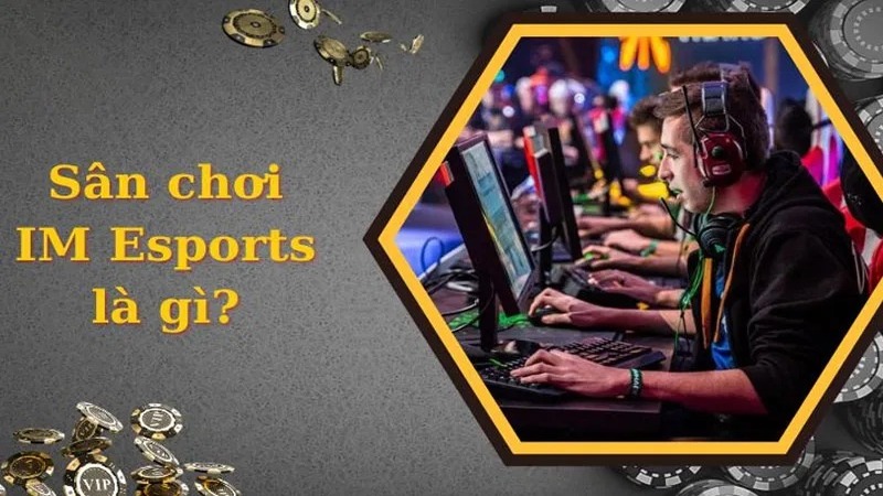 Một vài chính về sảnh IM Esports