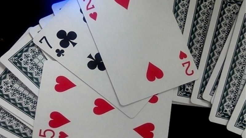 Nhận diện sai lầm giúp nâng cao hiệu quả khi chặt heo đỏ