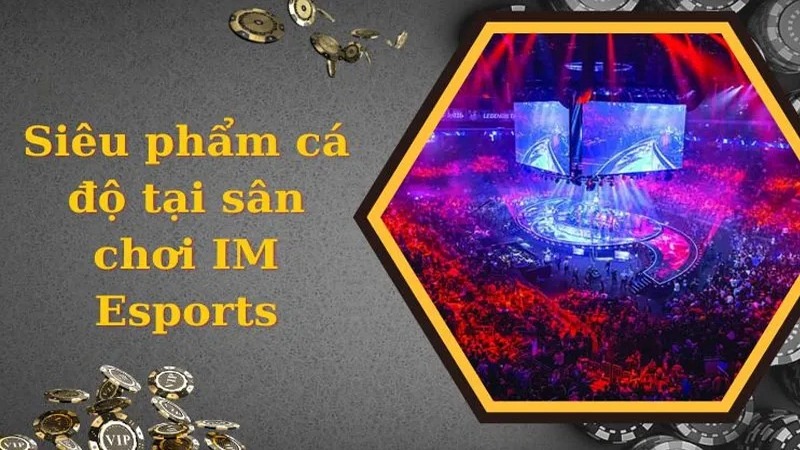 Những sản phẩm cược cực hay có tại sảnh IM