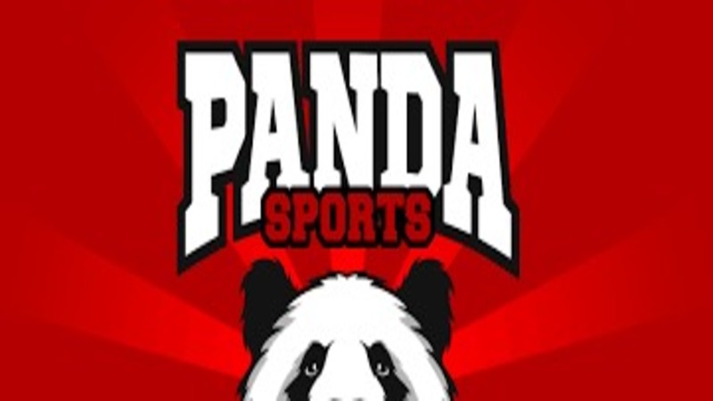 Những thông tin cơ bản về sảnh Panda Sports